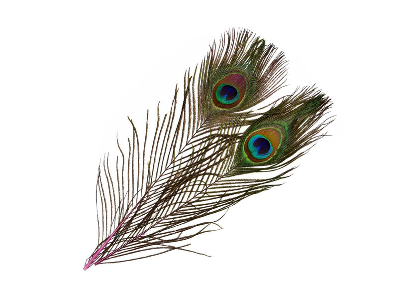 Frödin Peacock Eye Feathers