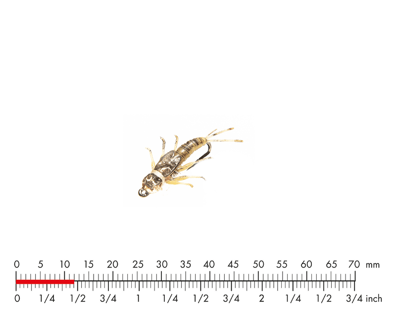 J:son Tungsten Mayfly Nymph Olive Brown_3