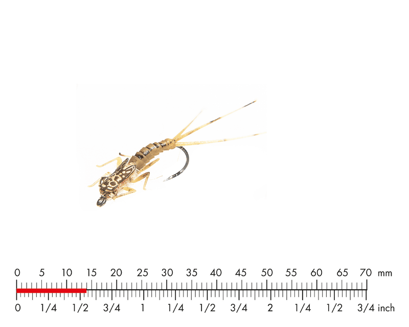 J:son Tungsten Mayfly Nymph Olive Brown_2